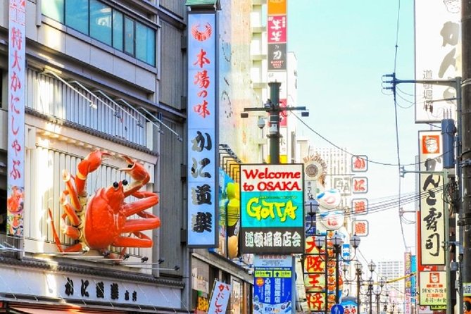 Osaka Private Tour by Public Transportation From Kyoto - Transportation
