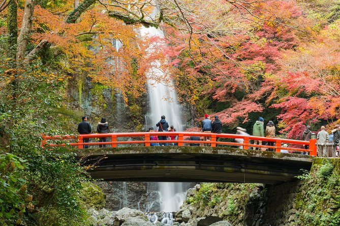 Osaka Private Tours by Locals: 100% Personalized, See the City Unscripted - Uncover Hidden Gems and Unique Experiences
