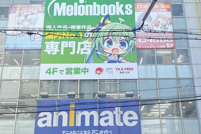 Osakas Anime Culture and History Walking Tour With a Local Guide - Accessibility and Health Information