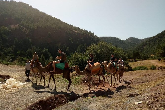 Ourika Valley Full Day Trip From Marrakech - Culinary Experience