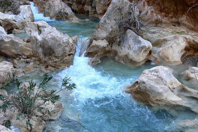 Ourika Valley Guided Day Trip From Marrakech - Tips for a Great Experience