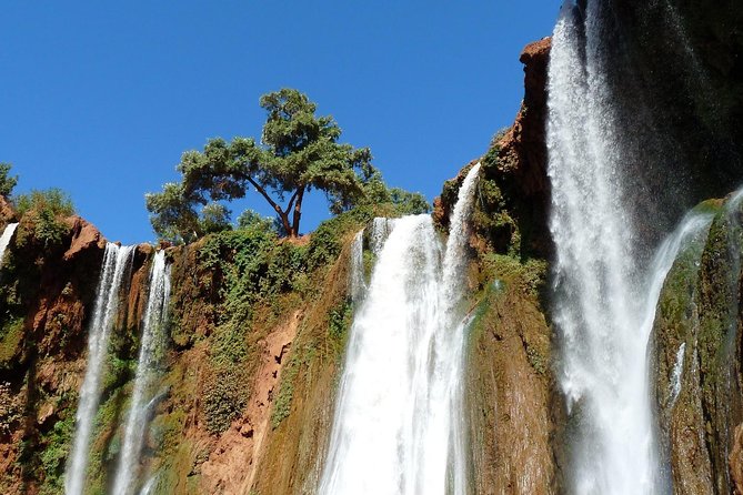 Ouzoud Waterfull - Day Trip From Marrakech - Reviews and Visitor Feedback