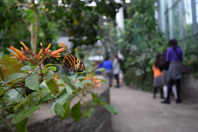 Pacific Science Center General Exhibit Admission - Admission and Pricing