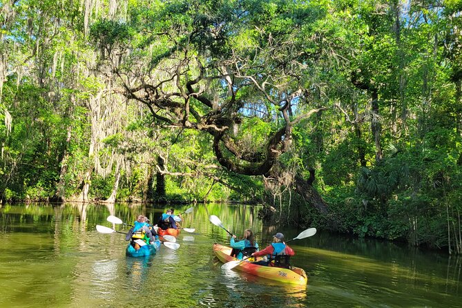 Paddle and Brew Adventure in Central Florida - Pricing and Cancellation Policy