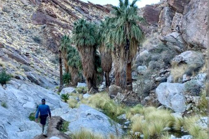 Palm Springs Desert Oasis Hike in Indian Canyons - Health and Safety Guidelines