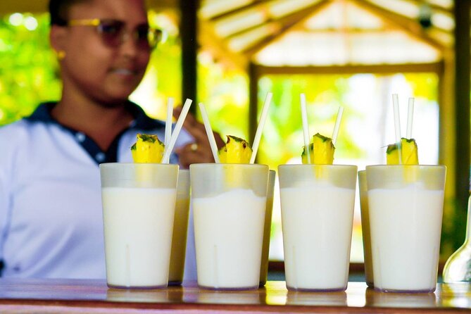 Paradise and Pigs Full Day Excursion From Puerto Plata With Lunch - Cancellation and Booking Options