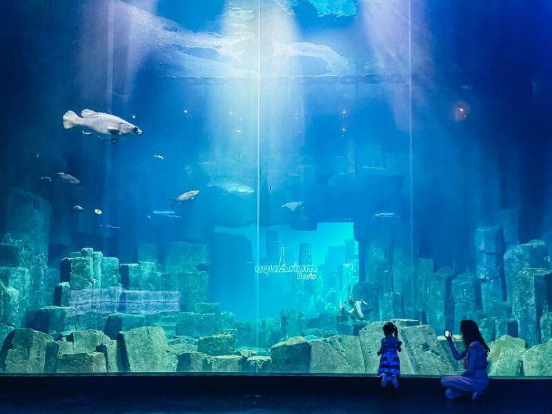 Paris: Aquarium De Paris Entrance Ticket - Interactive Experiences and Activities