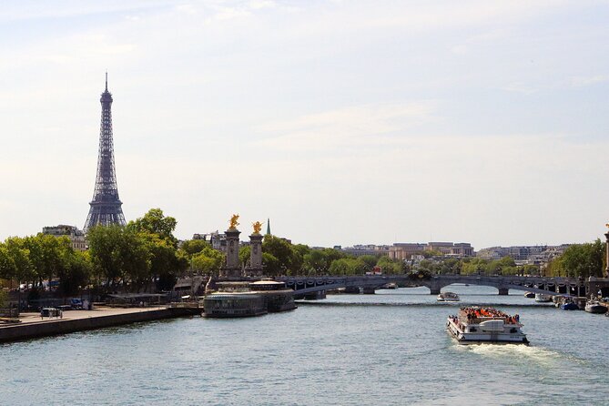 Paris Wheelchair Accessible Custom Tour: Full-Day W/ Local Guide - Accessibility Features