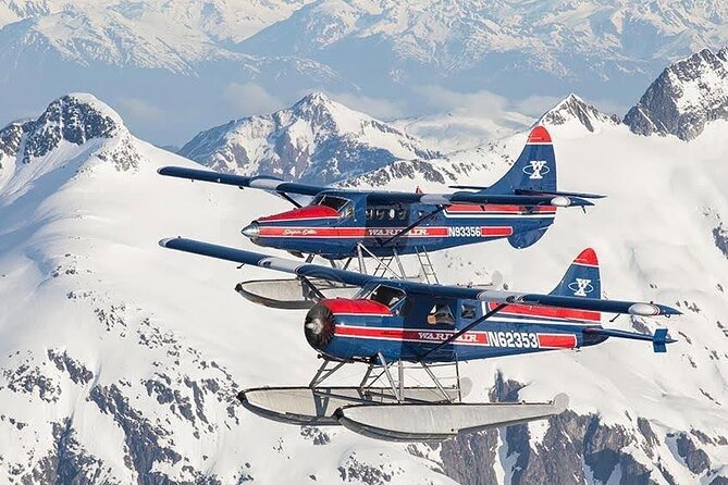 Peak Season Bear Viewing By Seaplane - Activity Details