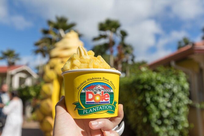 Pearl Harbor + Dole Plantation + Polynesian Center From Maui - Transportation Details