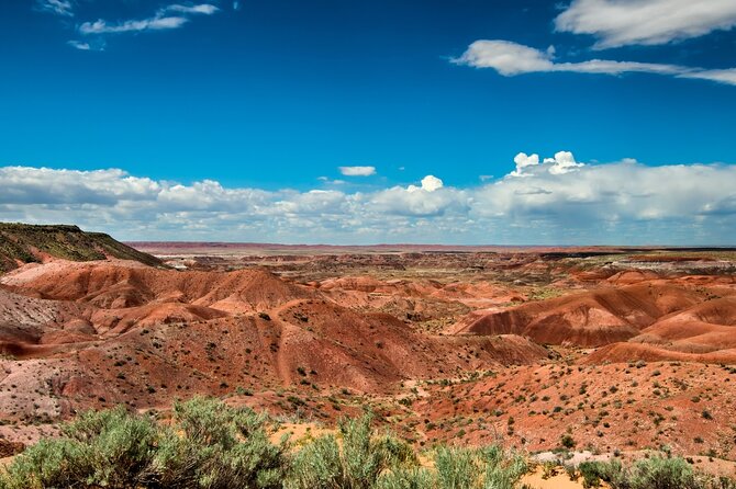 Petrified Forest National Park Self Guided Audio Driving Tour - Itinerary Highlights