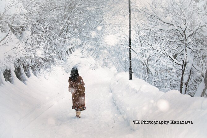 Photoshoot in Shirakawago/Takayama by Professional Photographer - Private Tour and Group Size