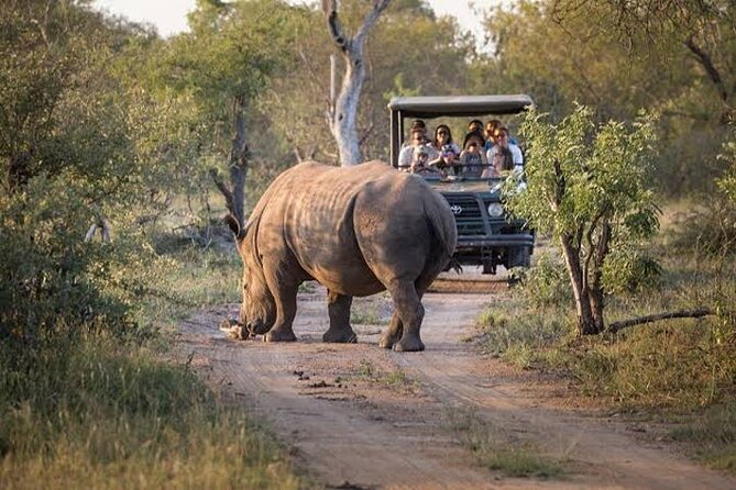 Pilanesberg Full Day Safari - Inclusions of the Experience