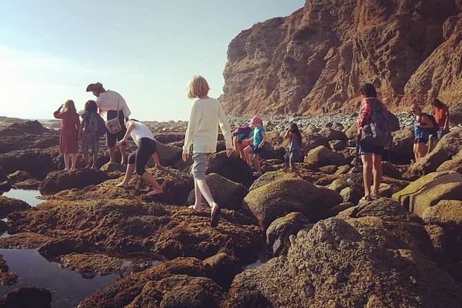 Pirate Sea Cave Tide Pool Walk at Dana Point - Interactive Elements and Storytelling