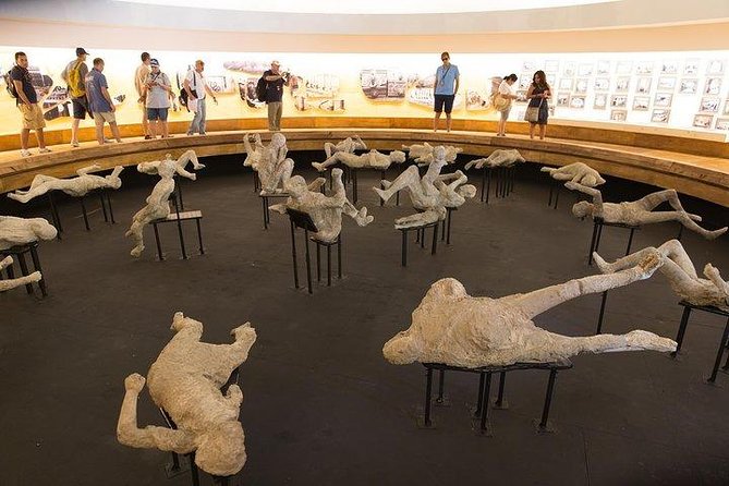 POMPEI & VESUVIO TOUR Full Day Departure From NAPLES (Entrance Fees Included) - Accessibility Features
