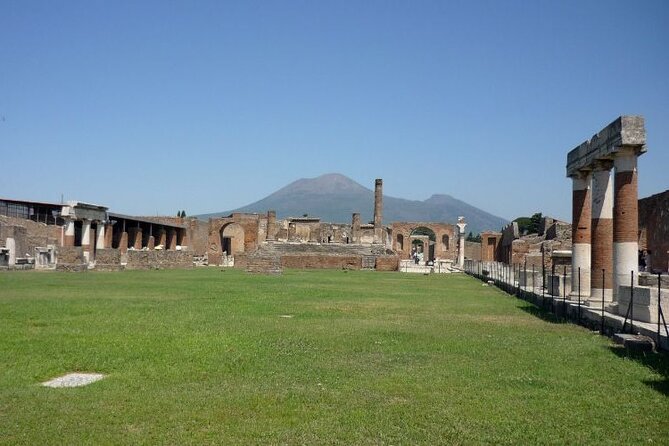 Pompeii & Bosco De Medici Winery Skip the Line From Sorrento - Health and Safety Guidelines