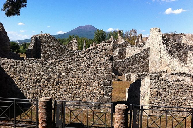 Pompeii - Private Historic Walking Tour - Accessibility Information