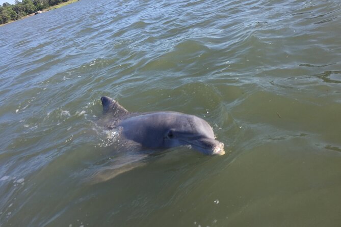 Pontoon Boat Rental in Hilton Head Island - Booking and Reservation Details