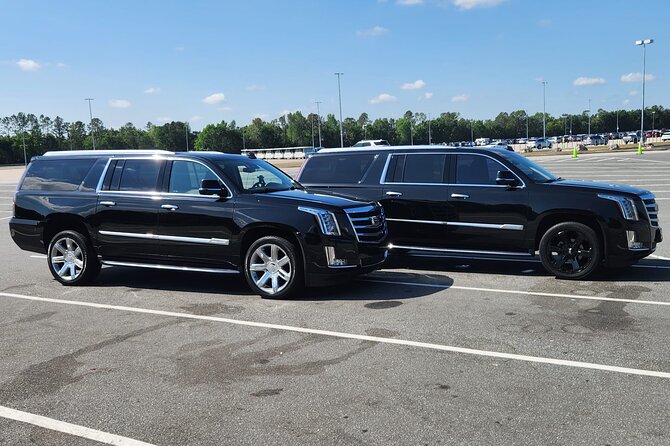 Port Canaveral Cruise Transfer To/From Orlando Intl Airport - Accessibility and Accommodations