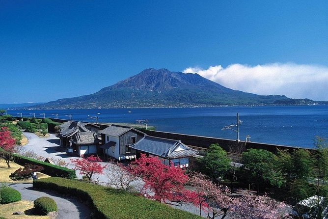 Port Pick-Up: Kagoshima Private Tour Licensed Guide ＆ Vehicle - Customizable Itinerary Options