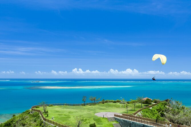 Port Pick-Up: Naha Private Tour Licensed Guide＆ Vehicle - Pricing and Booking