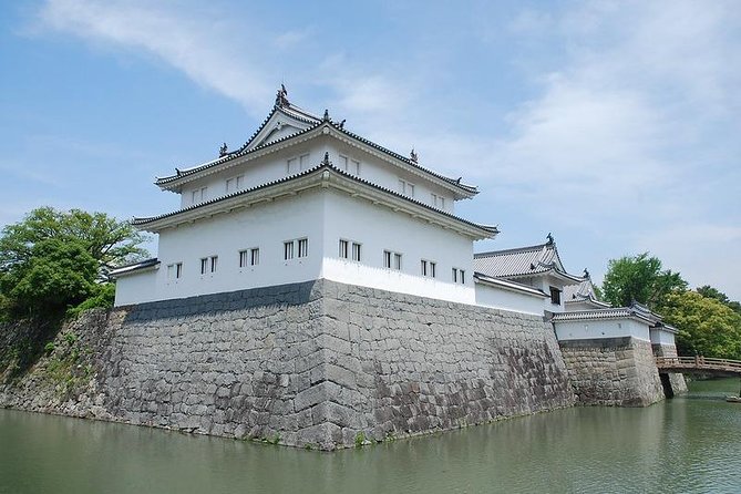 Port Pick-Up: Shizuoka Tour With Licensed Guide and Vehicle - Pricing and Cancellation