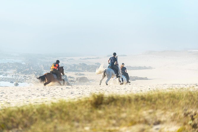 Portugal Horseback Riding Tour On The Beach - Accessibility and Participation