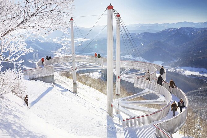 Powder Belt Pass 5 Days Ticket, Brush-Dyeing Experience - Inclusions and Exclusions