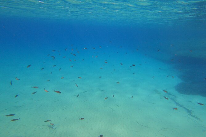 Private 1-Hour Guided Snorkeling Adventure With Go Pro Pictures - Meeting Location