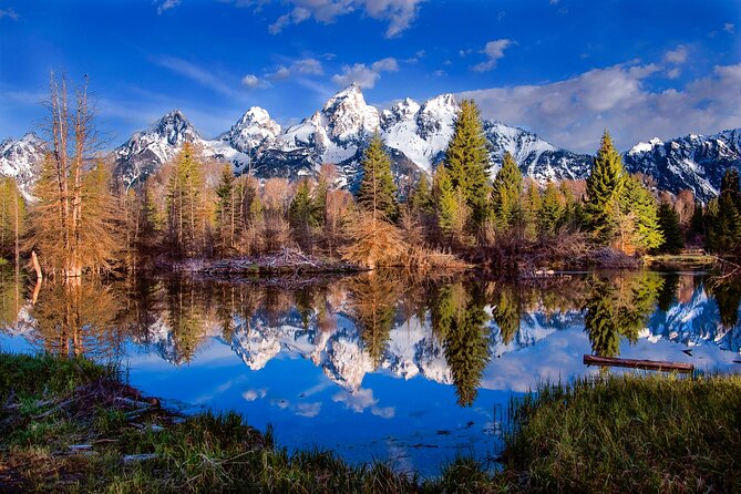 Private 2-Day Yellowstone Tour Review - Tour Accessibility and Participation