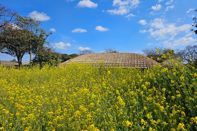 Private 2DAYS Tour a Lot of Experience Driver in Jeju Island - Accessibility and Health Considerations