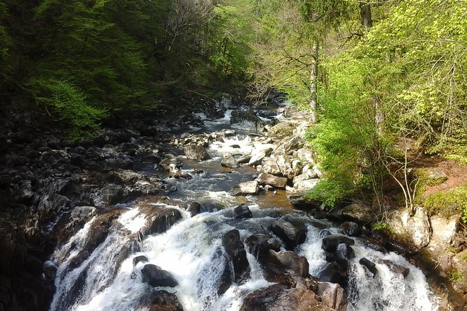 Private 3-Day Tour to the Highlands, Islands and the West Coast - Accessibility and Participation Details