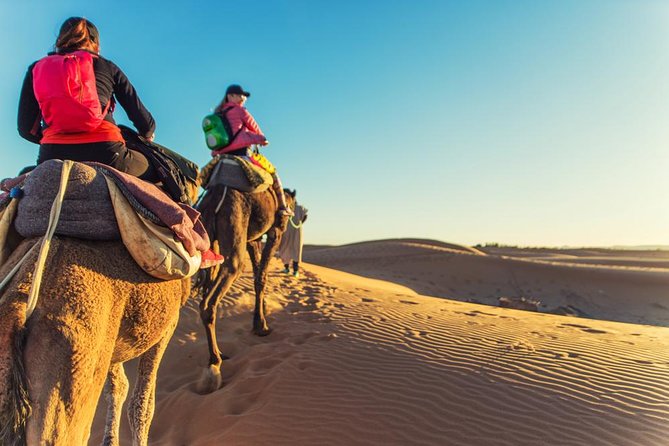 Private 3 Days Desert Trip From Marrakech to Merzouga and Back to Fez - Meal Inclusions