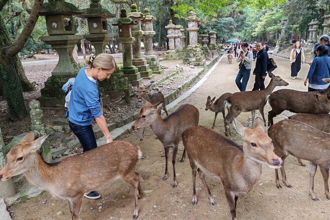Private 3-Hour UNESCO Heritage Sites & Deer Park Tour - Meeting and End Points