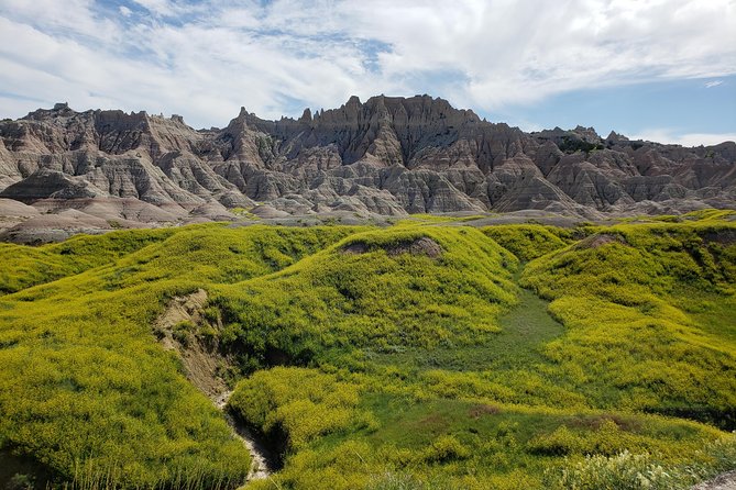 Private 5 Hour Badlands Tour With Local Experts - Enjoying a Picnic Lunch in the Park