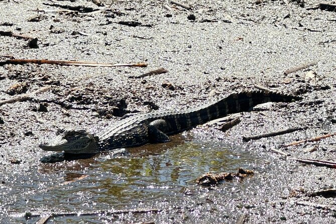 Private 90 Minutes Everglades Airboat Adventure Review - Inclusions and Amenities