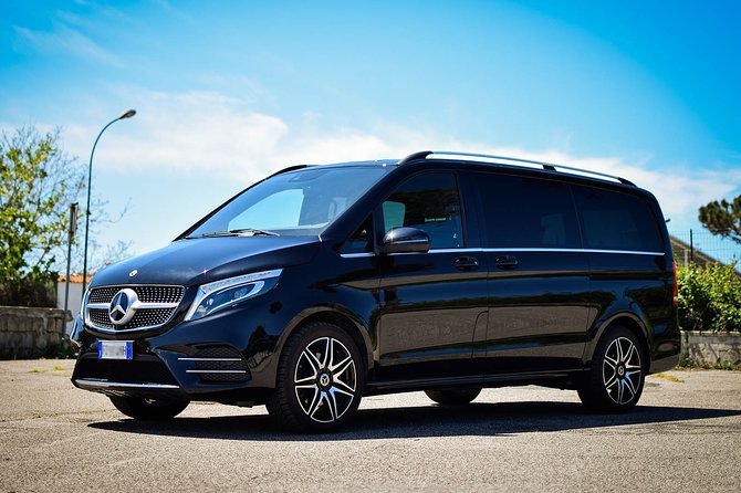 Private Airport Transfer From Bologna Airport to Bologna City - Accessibility and Participation
