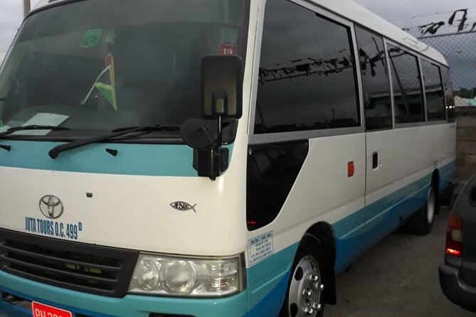 Private Airport Transfer From Ian Fleming Airport to Ocho Rios - Accessibility Features