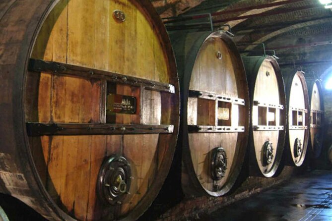 Private and Guided Day at the Barolo Cellars in Piedmont - Tasting the Companys Wines