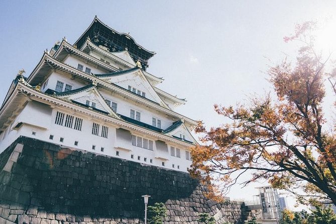 Private Arrival Transfer : Osaka Itami Airport to Osaka City - Delays and Cancellations