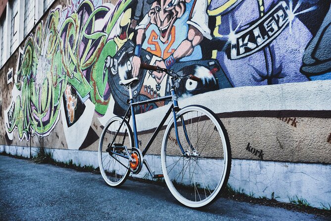 Private Barcelona Street Art and Bike Tour With Local Expert - Accessibility and Requirements