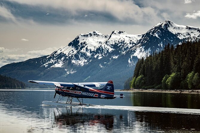 Private Bear Viewing By Seaplane - Participation Requirements and Accessibility