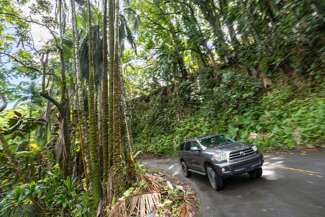 Private Big Island Volcano & Waterfalls Tour Review - Transportation and Gear Provided