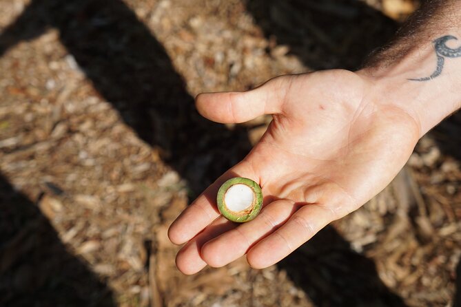 Private Botanical Garden Experience in the Heart of Maui - Meeting Point and Arrival Instructions