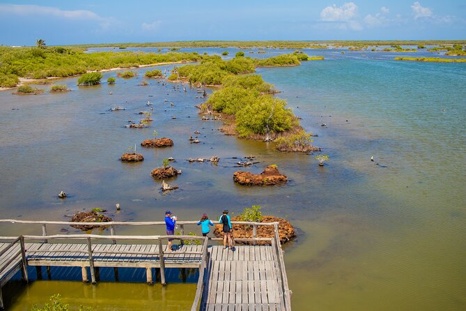 Private Buggy Tour and Punta Sur Park: All-Inclusive - Tour Highlights and Experiences