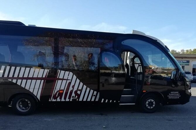 Private Bus Civitavecchia Cruise Port to Rome Hotels - Booking and Confirmation Process