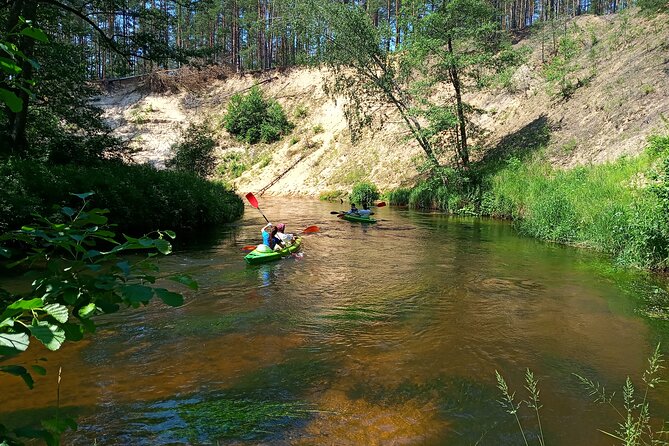 Private Canoeing Experience in Druskininkai - Participation Requirements