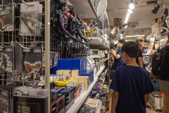 Private Car Tour Japanese History Visit, Buy Lots of Anime Goods - Accessibility and Participation