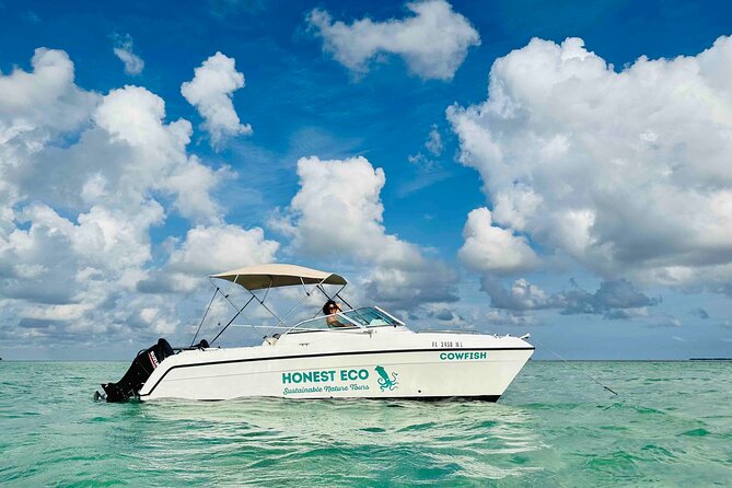 Private Charter 6 Passenger Review: An Adventure Awaits - Dolphin Watching Delight