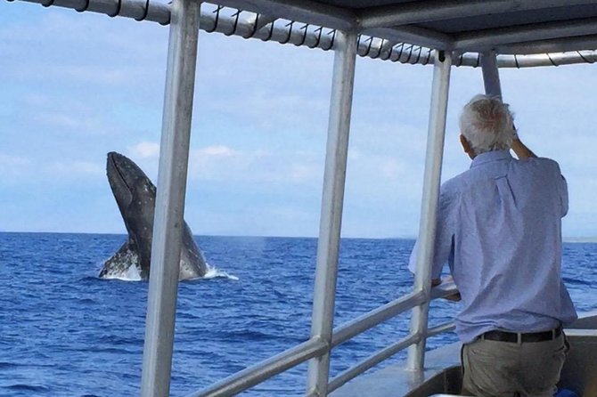 Private Charter: Customizable Big Island Boat Adventure - Customizable Itinerary and Experiences
